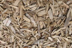 biomass boilers Gelsmoor